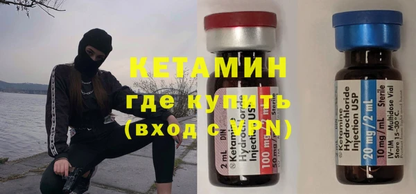 индика Пестово