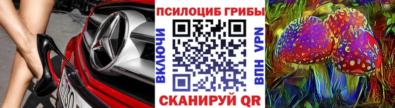 Псилоцибиновые грибы Psilocybe  Ленинск 